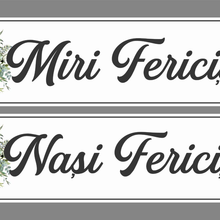 Set placute masina - Miri si Nasi fericiti !