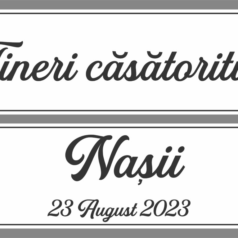 Set placute masina – Miri si Nasi fericiti ! – model 3